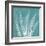 Teal Fern Xray-Albert Koetsier-Framed Premium Giclee Print