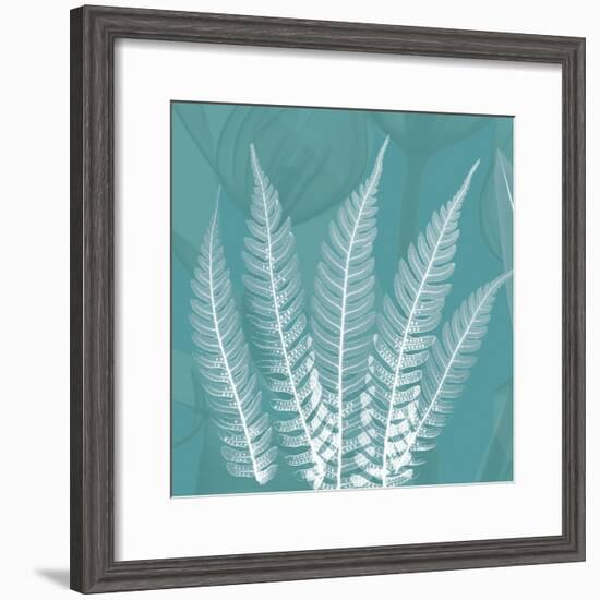 Teal Fern Xray-Albert Koetsier-Framed Premium Giclee Print