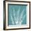 Teal Fern Xray-Albert Koetsier-Framed Premium Giclee Print