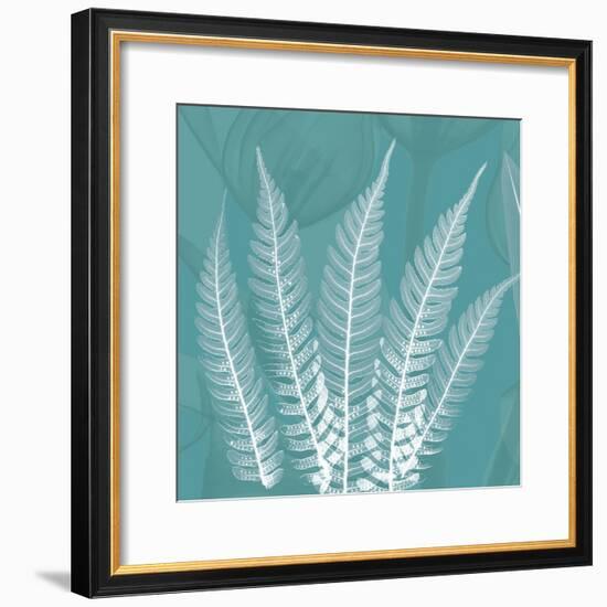 Teal Fern Xray-Albert Koetsier-Framed Premium Giclee Print