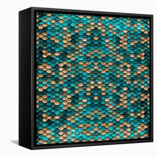 Teal Gold Scales-Milli Villa-Framed Stretched Canvas