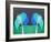 Teal Green Folksy Trees-Ruth Palmer-Framed Art Print