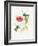 Teal Hummingbirds II Flower-Katie Pertiet-Framed Art Print