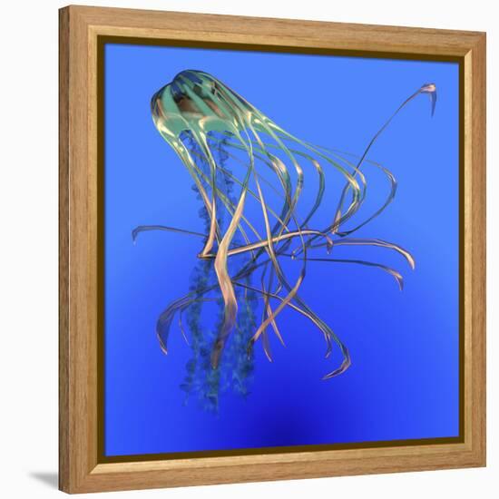 Teal Jellyfish Illustration-Stocktrek Images-Framed Stretched Canvas