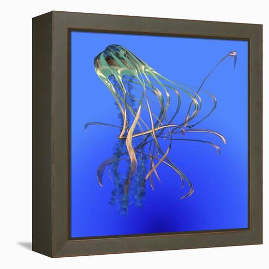 Teal Jellyfish Illustration-Stocktrek Images-Framed Stretched Canvas