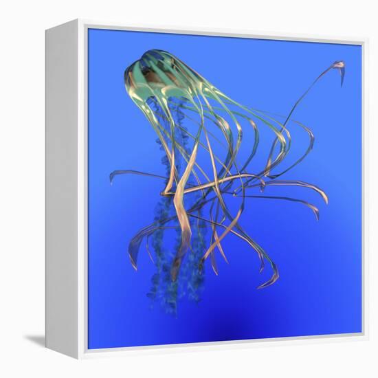 Teal Jellyfish Illustration-Stocktrek Images-Framed Stretched Canvas