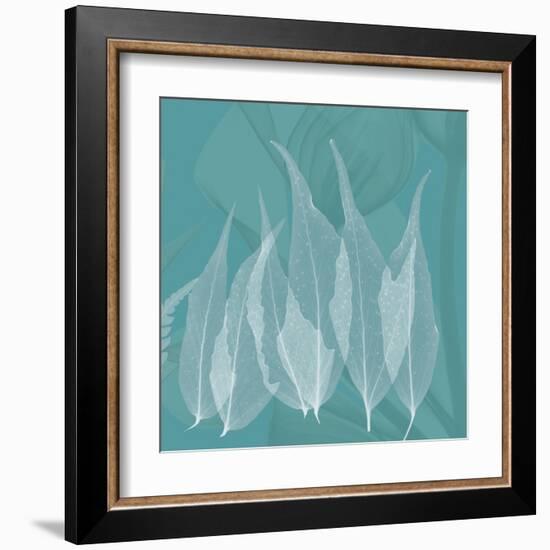 Teal Leaf Xray-Albert Koetsier-Framed Art Print