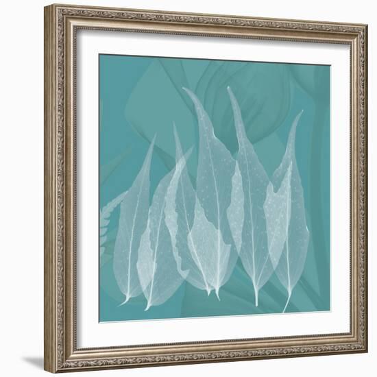 Teal Leaf Xray-Albert Koetsier-Framed Art Print