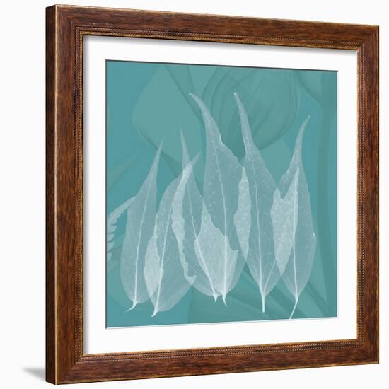 Teal Leaf Xray-Albert Koetsier-Framed Art Print