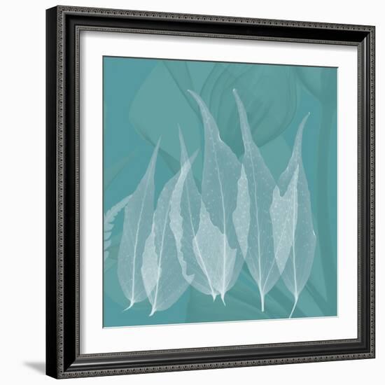 Teal Leaf Xray-Albert Koetsier-Framed Art Print