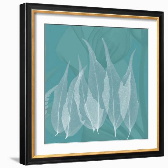 Teal Leaf Xray-Albert Koetsier-Framed Art Print