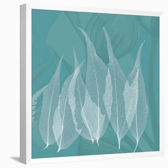 Teal Leaf Xray-Albert Koetsier-Framed Stretched Canvas