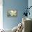 Teal Lily-Anna Polanski-Framed Stretched Canvas displayed on a wall