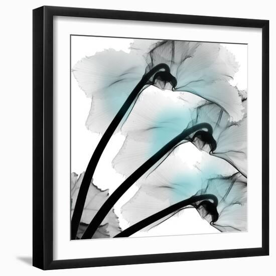 Teal Luster Cyclamen-Albert Koetsier-Framed Photographic Print