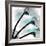 Teal Luster Cyclamen-Albert Koetsier-Framed Photographic Print