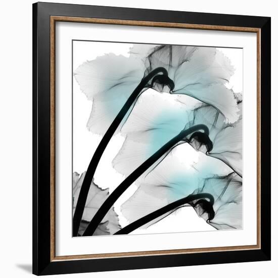 Teal Luster Cyclamen-Albert Koetsier-Framed Photographic Print