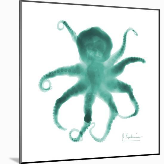 Teal Octopus-Albert Koetsier-Mounted Art Print