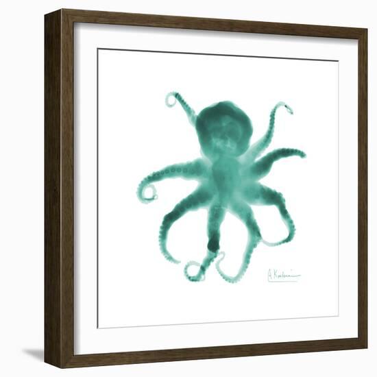 Teal Octopus-Albert Koetsier-Framed Premium Giclee Print