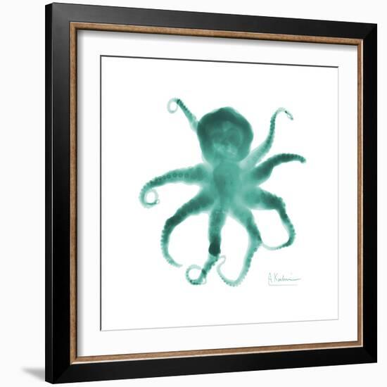 Teal Octopus-Albert Koetsier-Framed Premium Giclee Print