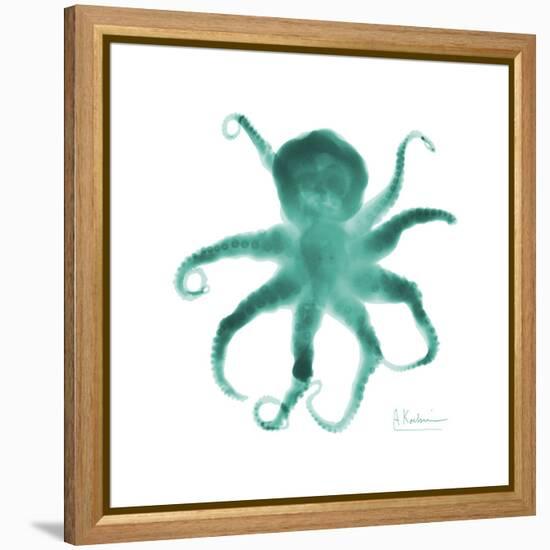 Teal Octopus-Albert Koetsier-Framed Stretched Canvas