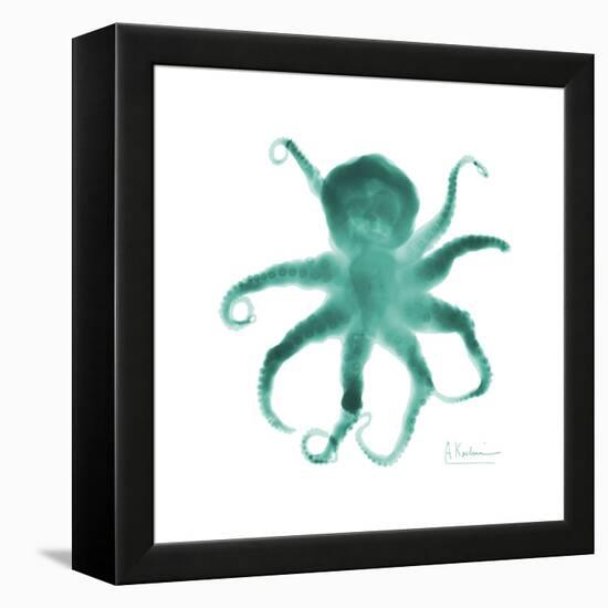 Teal Octopus-Albert Koetsier-Framed Stretched Canvas