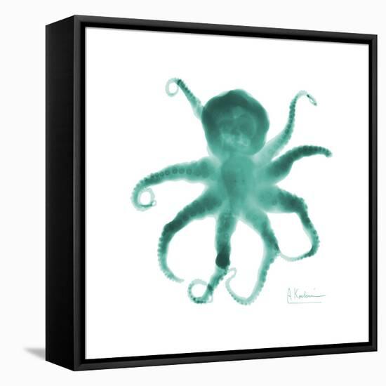 Teal Octopus-Albert Koetsier-Framed Stretched Canvas