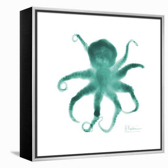 Teal Octopus-Albert Koetsier-Framed Stretched Canvas