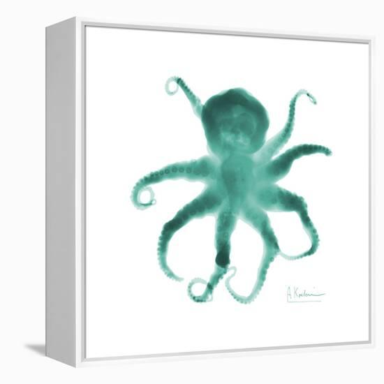 Teal Octopus-Albert Koetsier-Framed Stretched Canvas