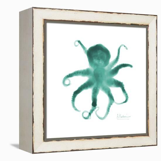 Teal Octopus-Albert Koetsier-Framed Stretched Canvas