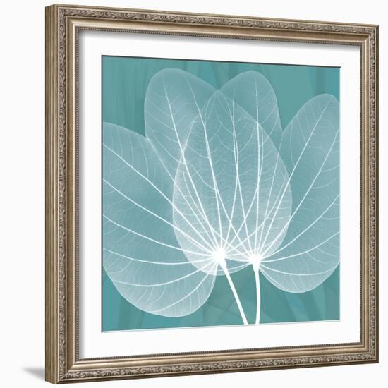 Teal Orchid Xray-Albert Koetsier-Framed Art Print