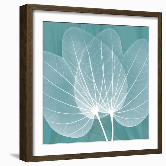 Teal Orchid Xray-Albert Koetsier-Framed Art Print