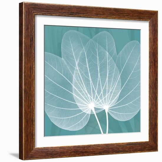 Teal Orchid Xray-Albert Koetsier-Framed Art Print