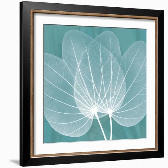 Teal Orchid Xray-Albert Koetsier-Framed Art Print