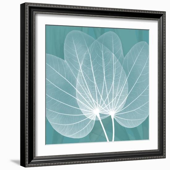 Teal Orchid Xray-Albert Koetsier-Framed Art Print