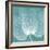 Teal Orchid Xray-Albert Koetsier-Framed Art Print