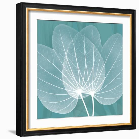 Teal Orchid Xray-Albert Koetsier-Framed Art Print