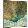 Teal Peacock on Gold-Danhui Nai-Mounted Art Print