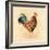 Teal Plumage Detail-Chad Barrett-Framed Art Print