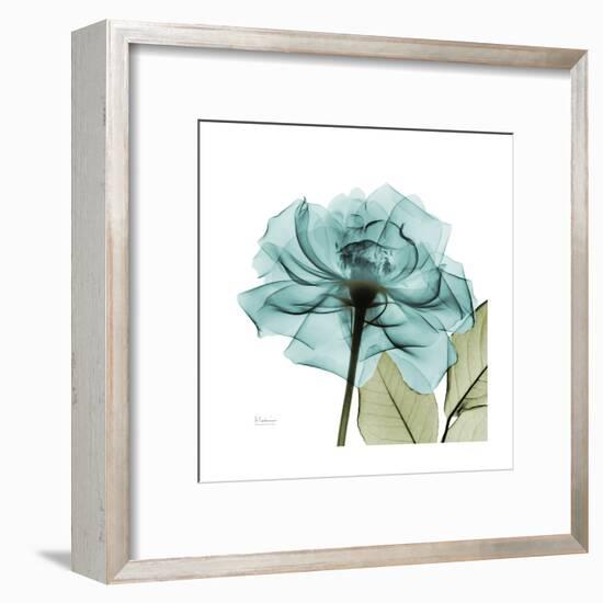 Teal Rose Green-Albert Koetsier-Framed Art Print