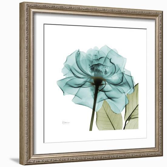 Teal Rose Green-Albert Koetsier-Framed Art Print