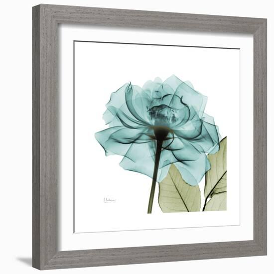 Teal Rose Green-Albert Koetsier-Framed Art Print