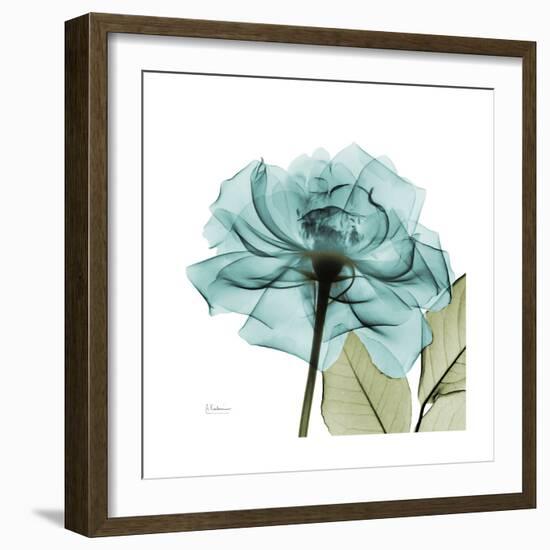 Teal Rose Green-Albert Koetsier-Framed Art Print