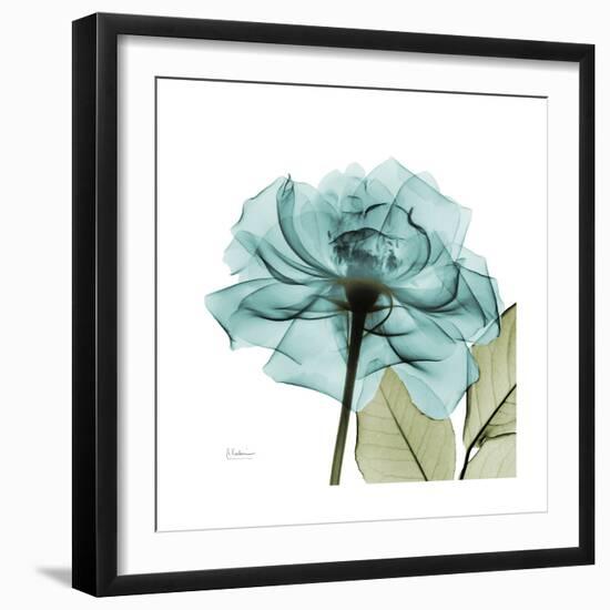 Teal Rose Green-Albert Koetsier-Framed Art Print