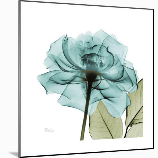 Teal Rose Green-Albert Koetsier-Mounted Art Print