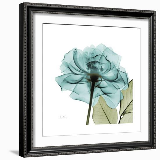 Teal Rose Green-Albert Koetsier-Framed Art Print