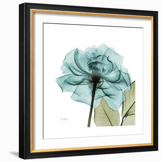 Teal Rose Green-Albert Koetsier-Framed Art Print