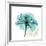 Teal Rose-Albert Koetsier-Framed Premium Giclee Print