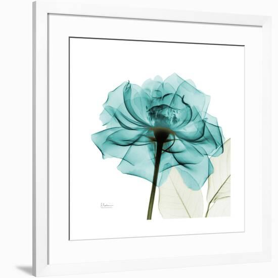 Teal Rose-Albert Koetsier-Framed Premium Giclee Print