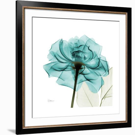 Teal Rose-Albert Koetsier-Framed Premium Giclee Print