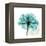 Teal Rose-Albert Koetsier-Framed Stretched Canvas